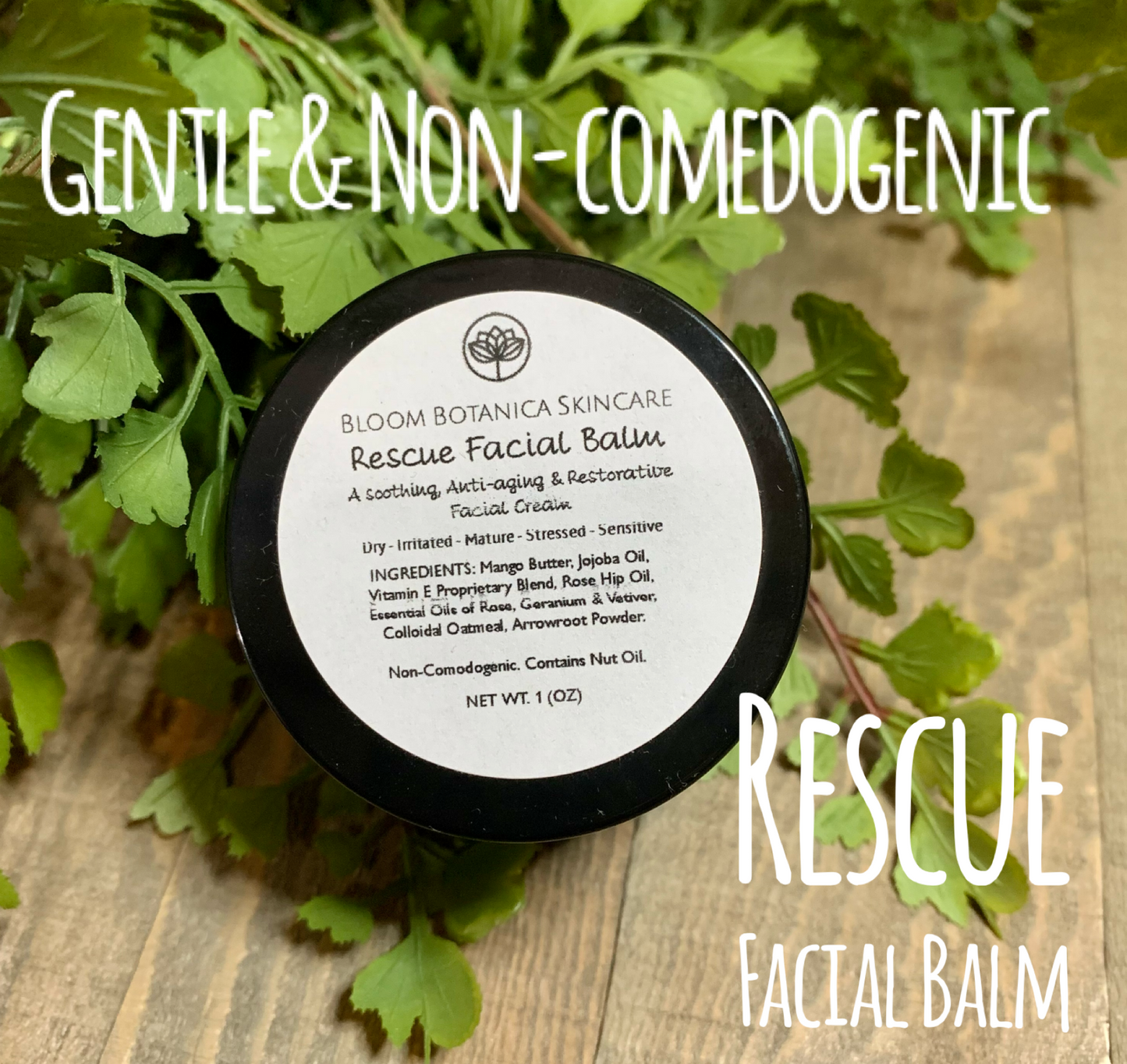 Acne Treatment Skincare Bundle| Bloom Botanica Skincare | Cleanser | Exfoliant | Toner| Serum | Facial Oil