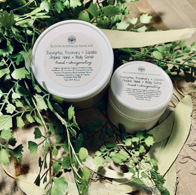 Eucalyptus Rosemary Copaiba Exfoliating Shea Butter Sugar Scrub | Dry Skin Relief | Organic Body Polish