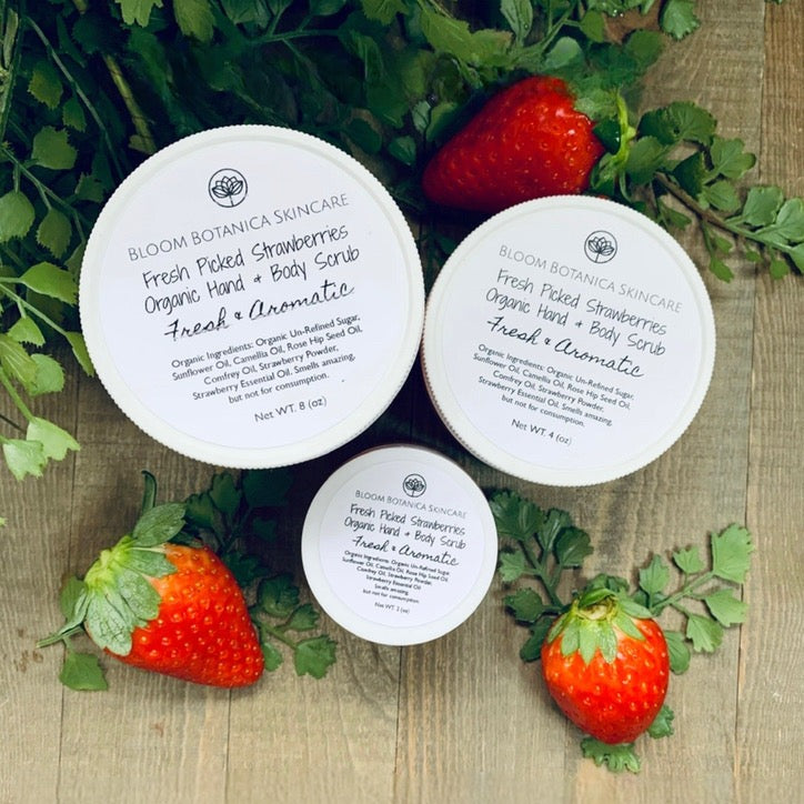 Sugar Scrub | Fresh Picked Strawberry Sugar Scrub | Shea Butter | All Natural