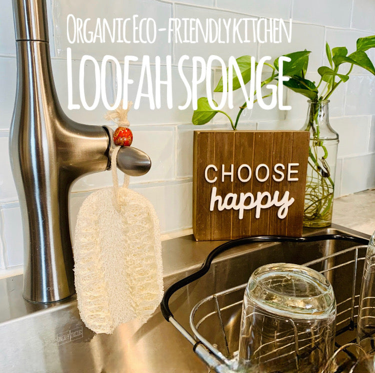 Loofah Natural Kitchen Sponge | Eco-Friendly Cleaning Supplies | Compost For Garden