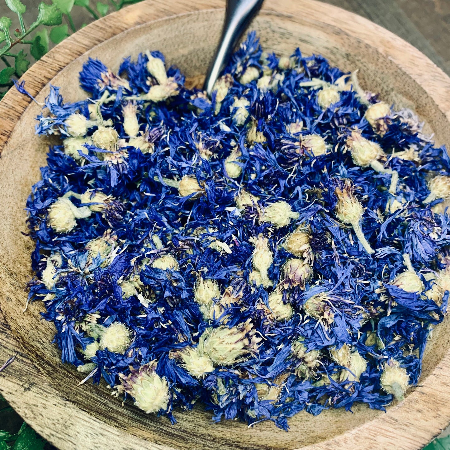 Whole Blue Cornflower Buds & Petals | USDA Organic Blue Cornflower Tea| | Food Grade| Culinary| Herbalism|Aromatherapy| Altar Supplies| Flower Tisane